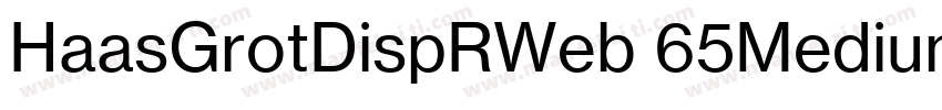 HaasGrotDispRWeb 65Medium字体转换